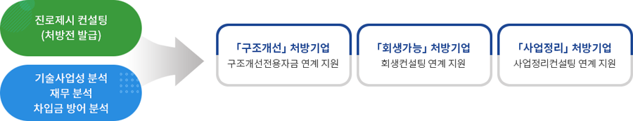 진로제시컨설팅 사업내용 절차 : 진로제시 컨설팅(처방전 발급) 및 기술사업성 분석, 재무분석, 차입금 방어 분석을 통해 ‘구조개선’ 처방기업(구조개선전용자금 연계지원), ‘회생가능’ 처방기업(회생컨설팅 연계 지원), ‘사업정리’ 처방기업(사업정리 컨설팅 연계 지원)로 분리하여 연계